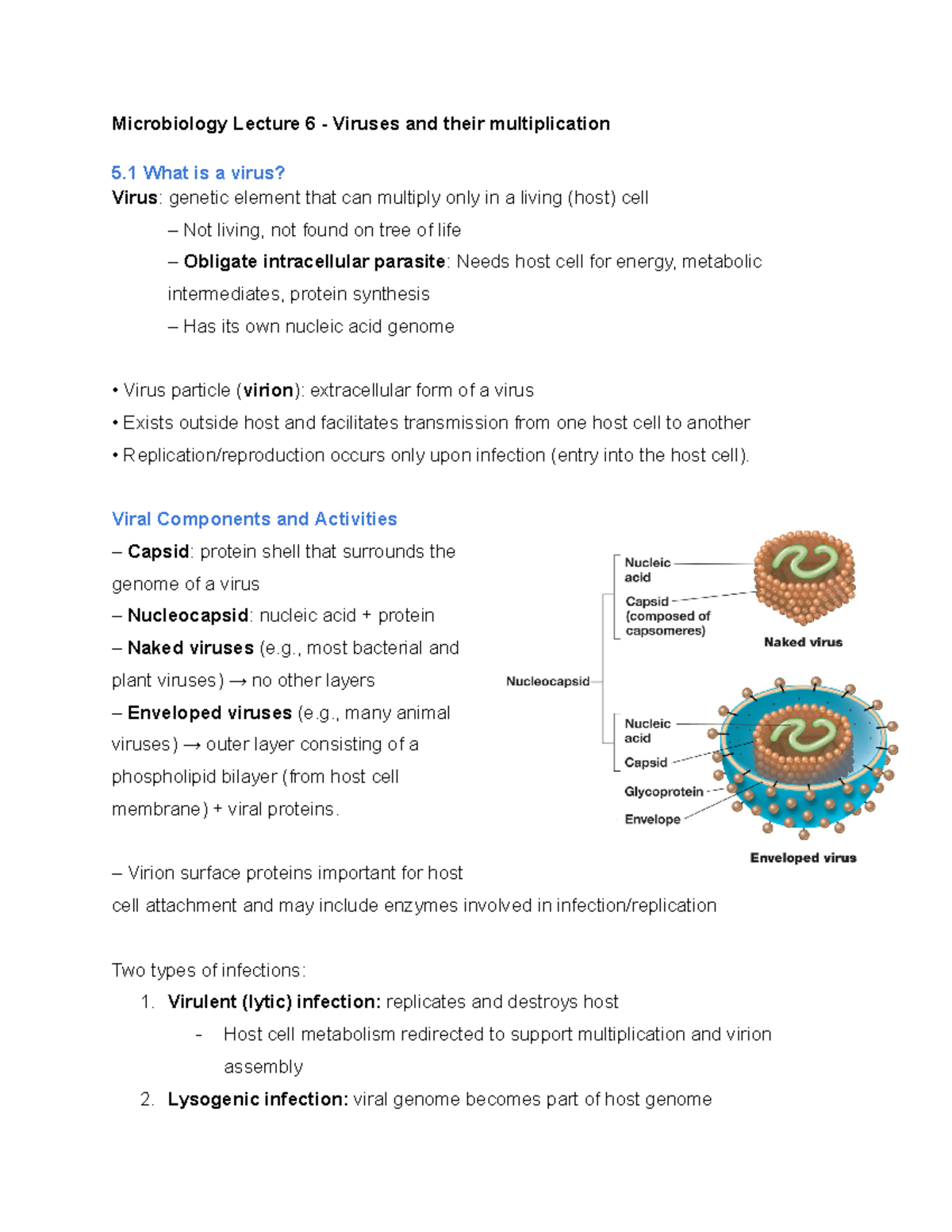 Microbiology Lecture 6: Viruses and Their Multiplication Mechanisms ...
