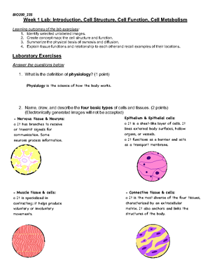 Week 2 Lab - Practice lab - Week 2 Lab: Chemical Messengers + Endocrine ...