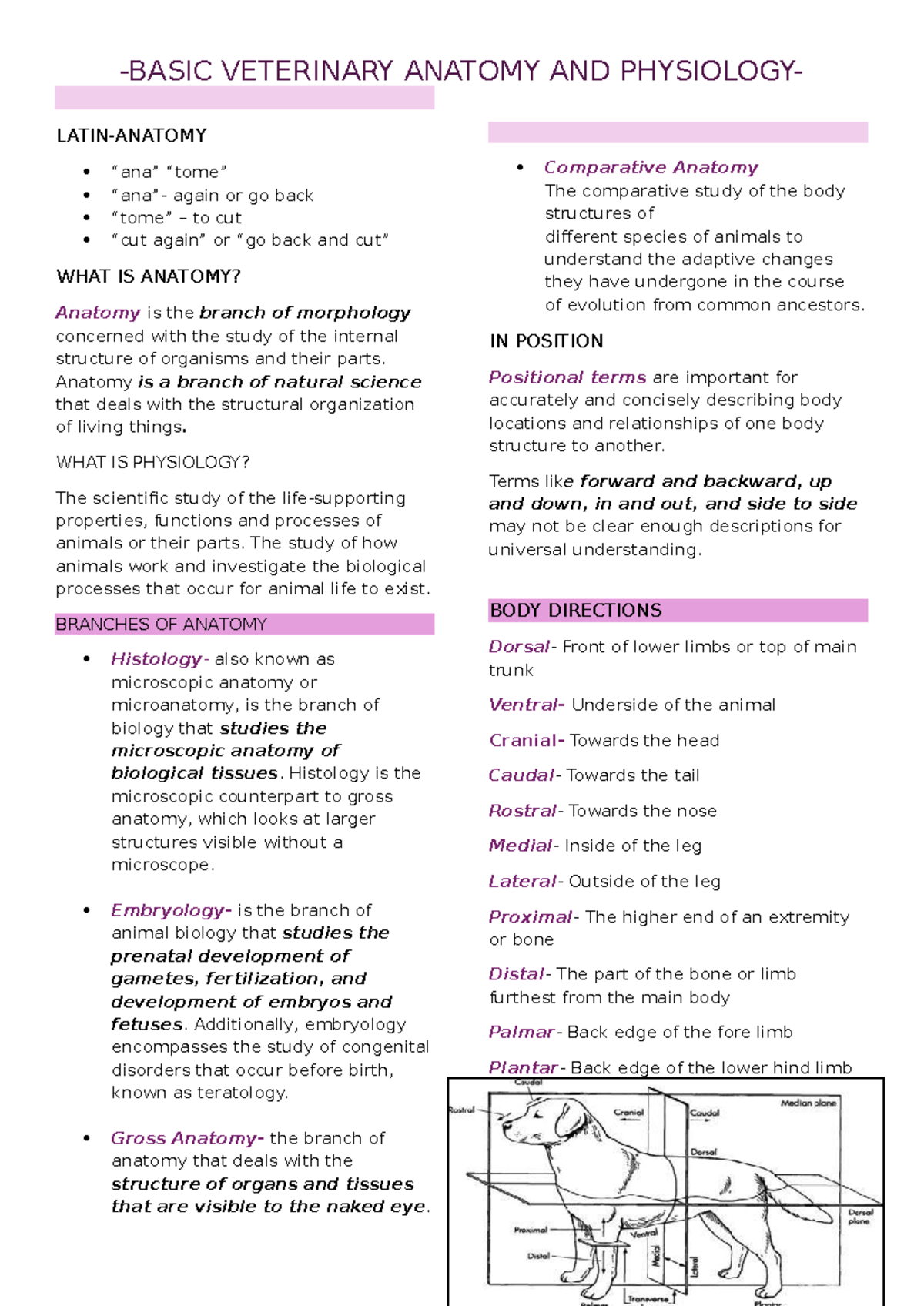 Basic Veterinary Anatomy and Physiology: A Detailed Overview - Studocu