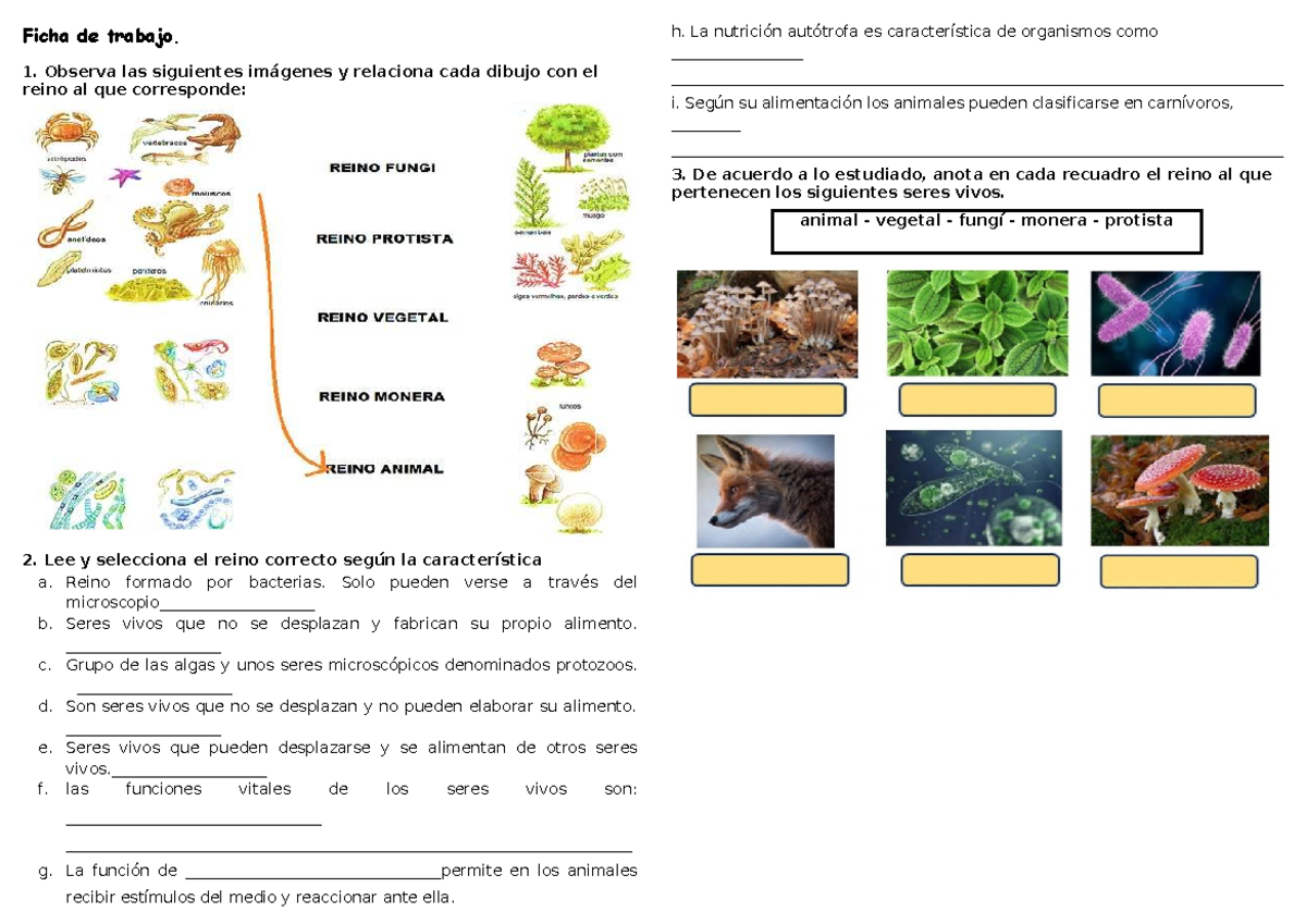Proyecto de Biohuerto Ecológico con Materiales Reciclados - CYT - Studocu