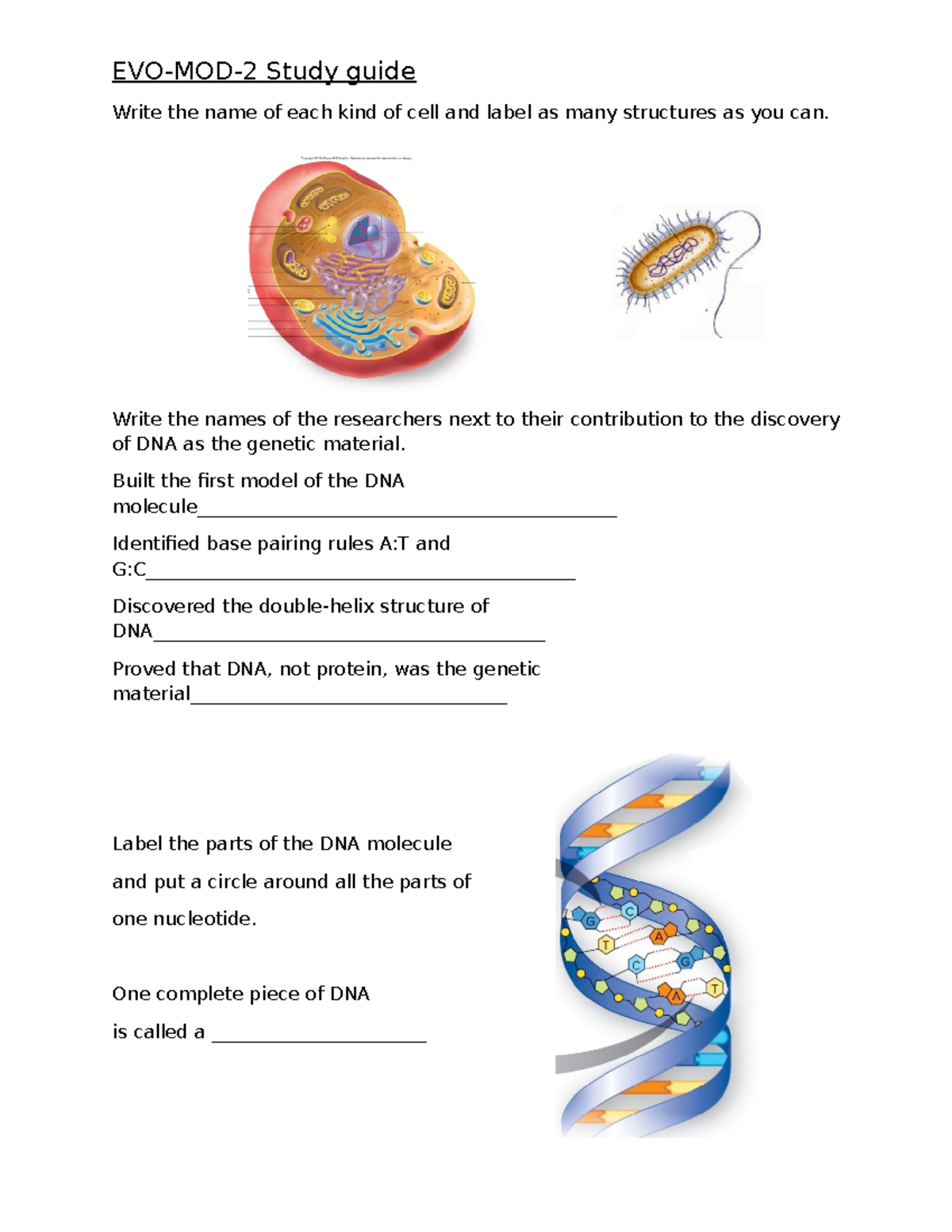 EVO-MOD-2 Final Exam Study Guide: DNA and Cell Biology Concepts - EVO ...