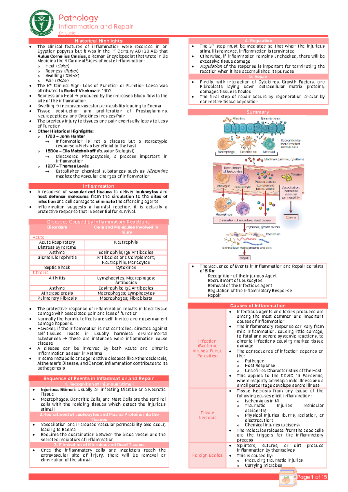 Inflammation and Repair: Key Concepts and Historical Insights - Studocu