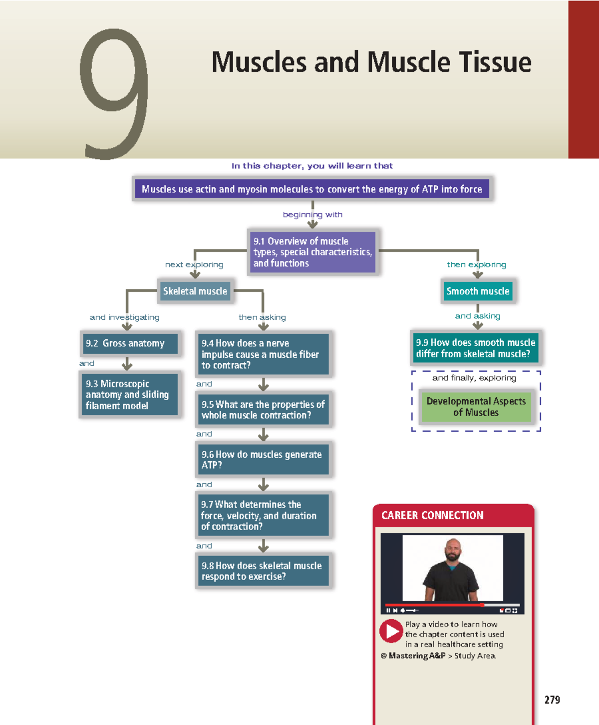 Chapter 9: Muscles and Muscle Tissue Overview - Studocu