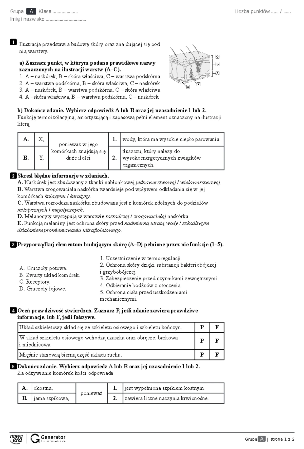 Test - Układ ruchu człowieka 2b1- 31 maja - Grupa A | strona 1 z 4 ...