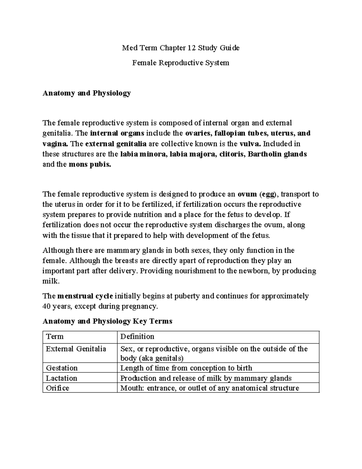 Med Term CH 12 Study Guide: Female Reproductive Anatomy & Physiology ...
