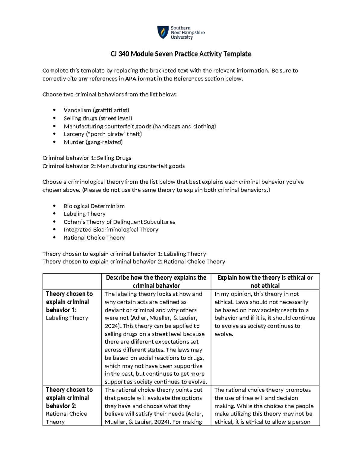 CJ 340 Module 7 Practice Activity: Criminological Theories Explained ...