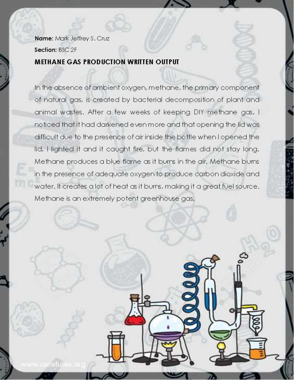 Methane GAS Production Written Output - Name: Mark Jeffrey S. Cruz ...