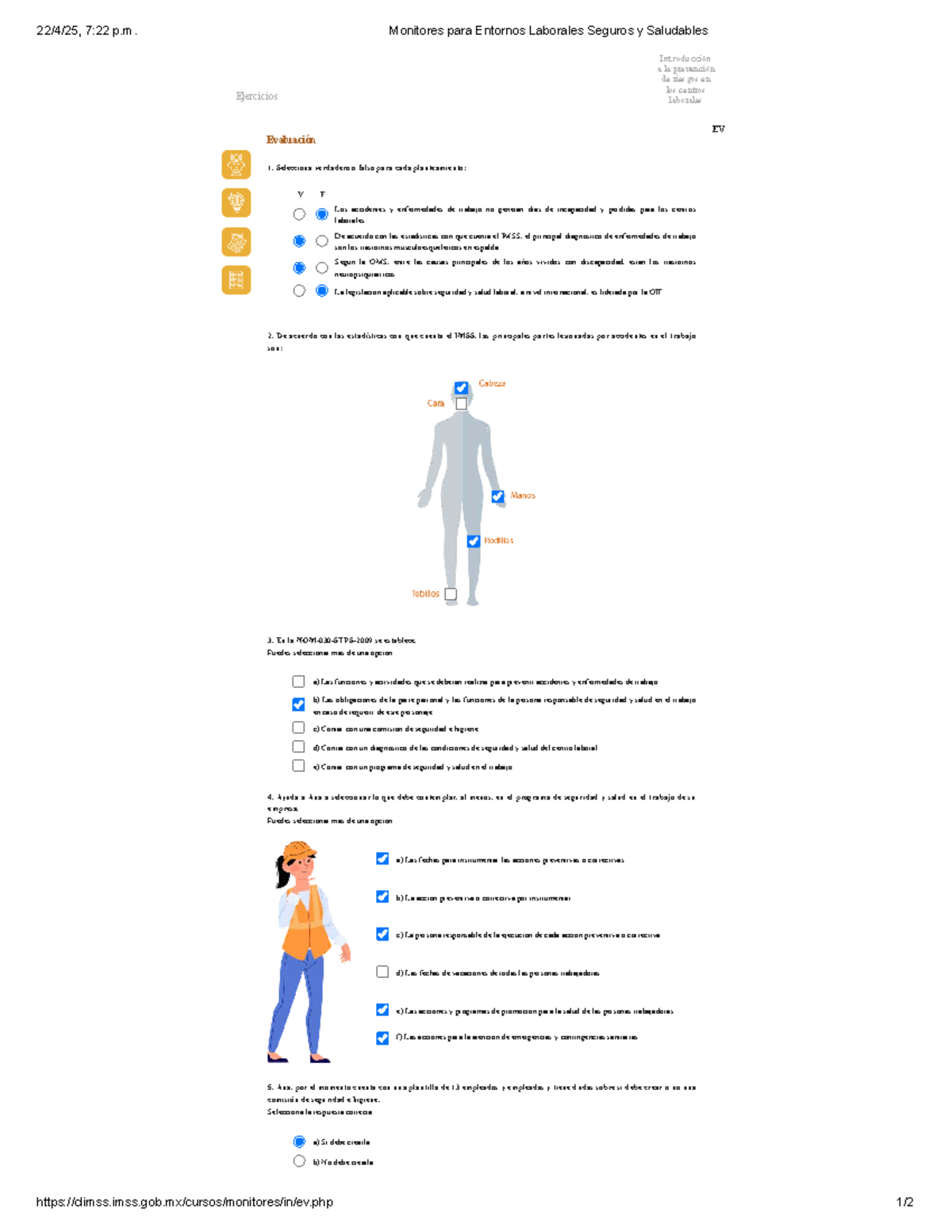Monitores para Entornos Laborales Seguros y Saludables - Evaluación 1 - Document Preview