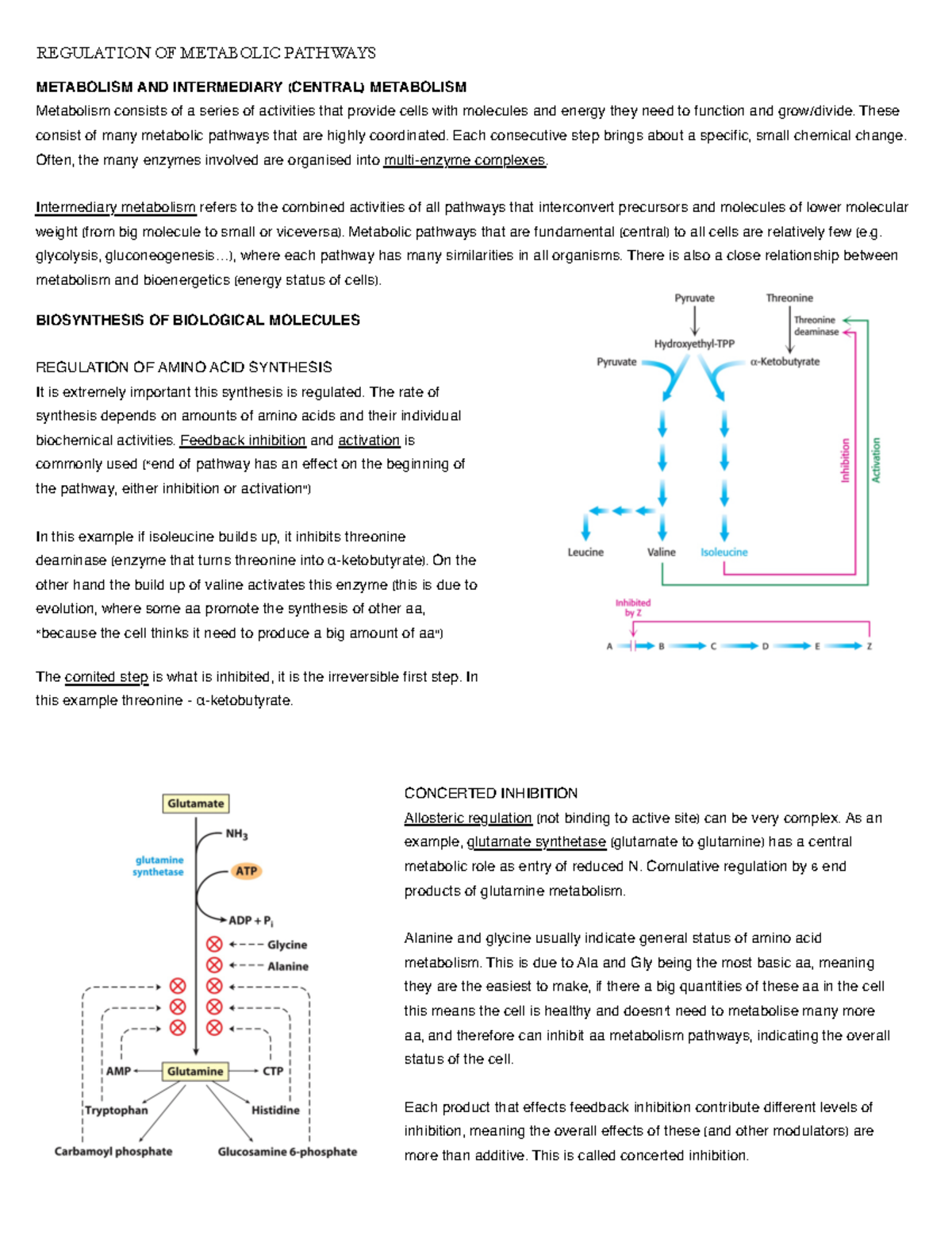 Print 1 - Aaa - REGULATION OF METABOLIC PATHWAYS METABOLISM AND ...