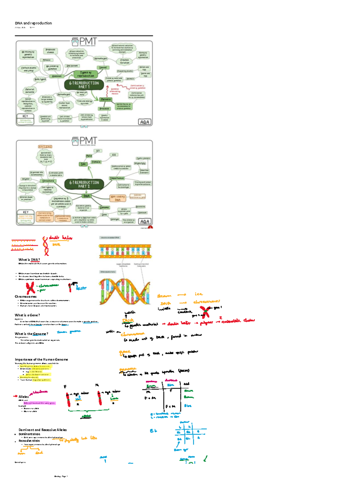 DNA and Reproduction Notes (BIO 101) - Studocu