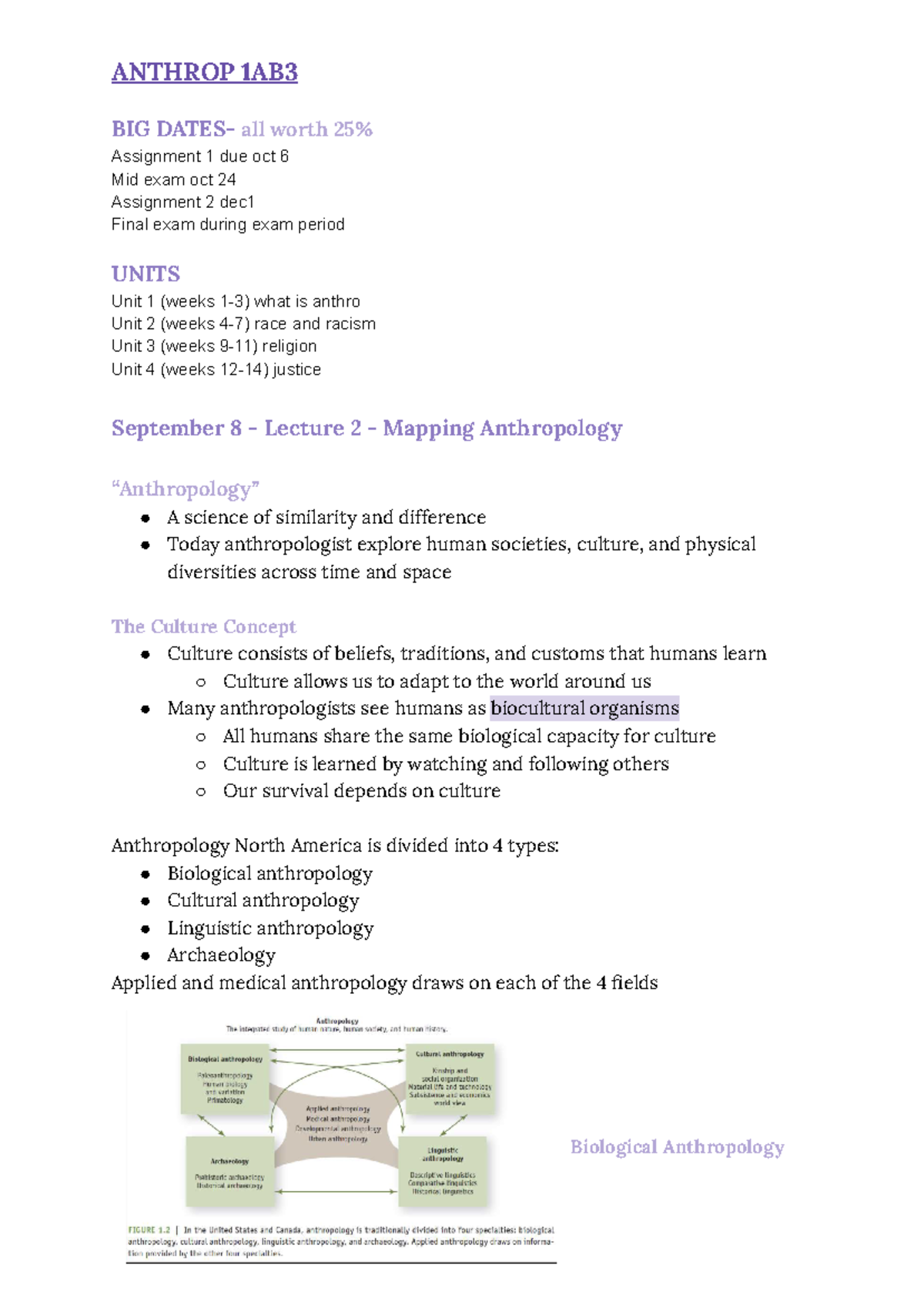 Anthrop 1AB3 Midterm Exam Study Guide: Race, Religion & Social Justice ...