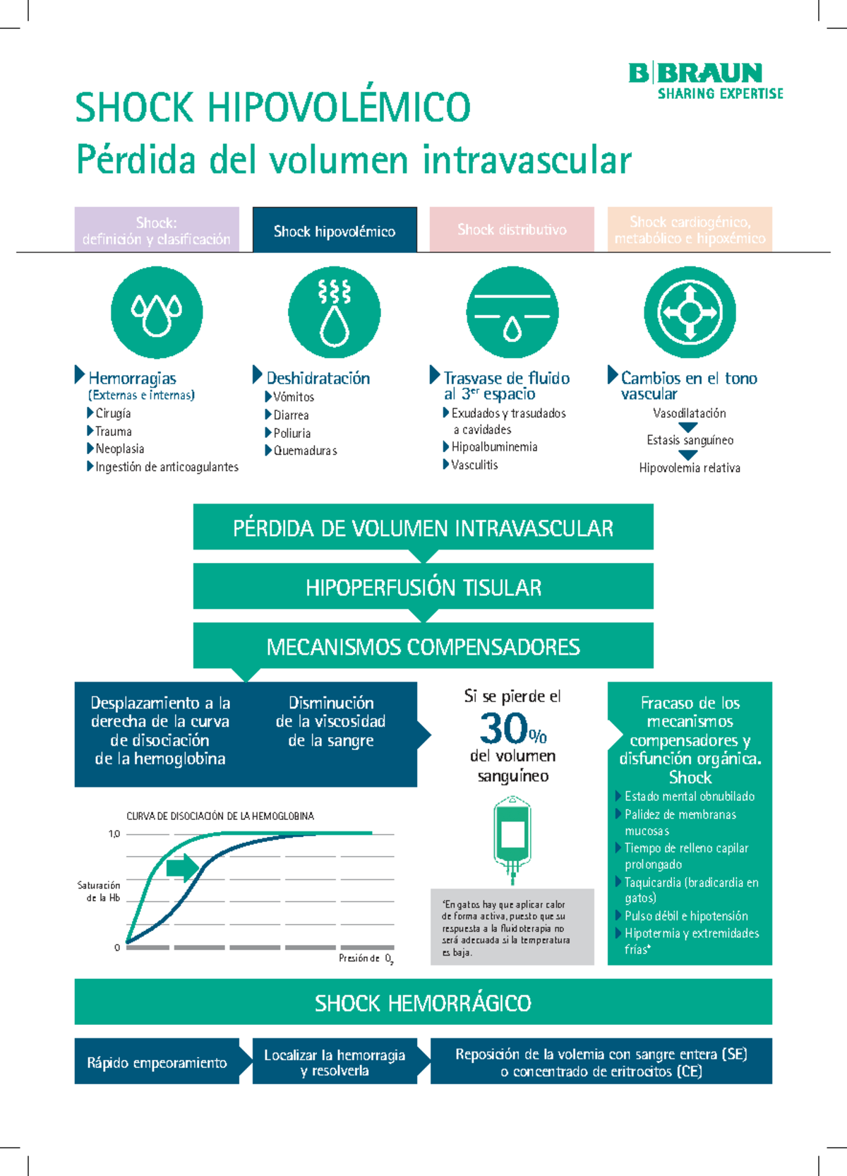 Infografía sobre Shock Hipovolémico y Hemorrágico - Medicina 101 - Studocu