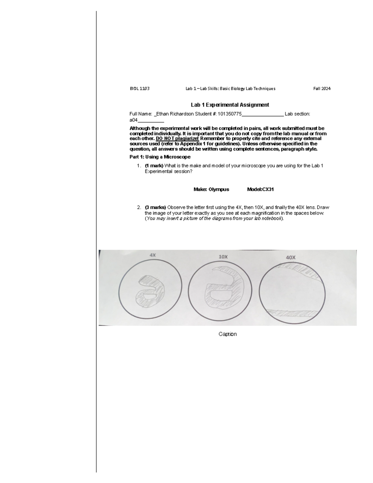 Lab 1 Experiment Assignment - Microscope Usage and Specimen Analysis ...