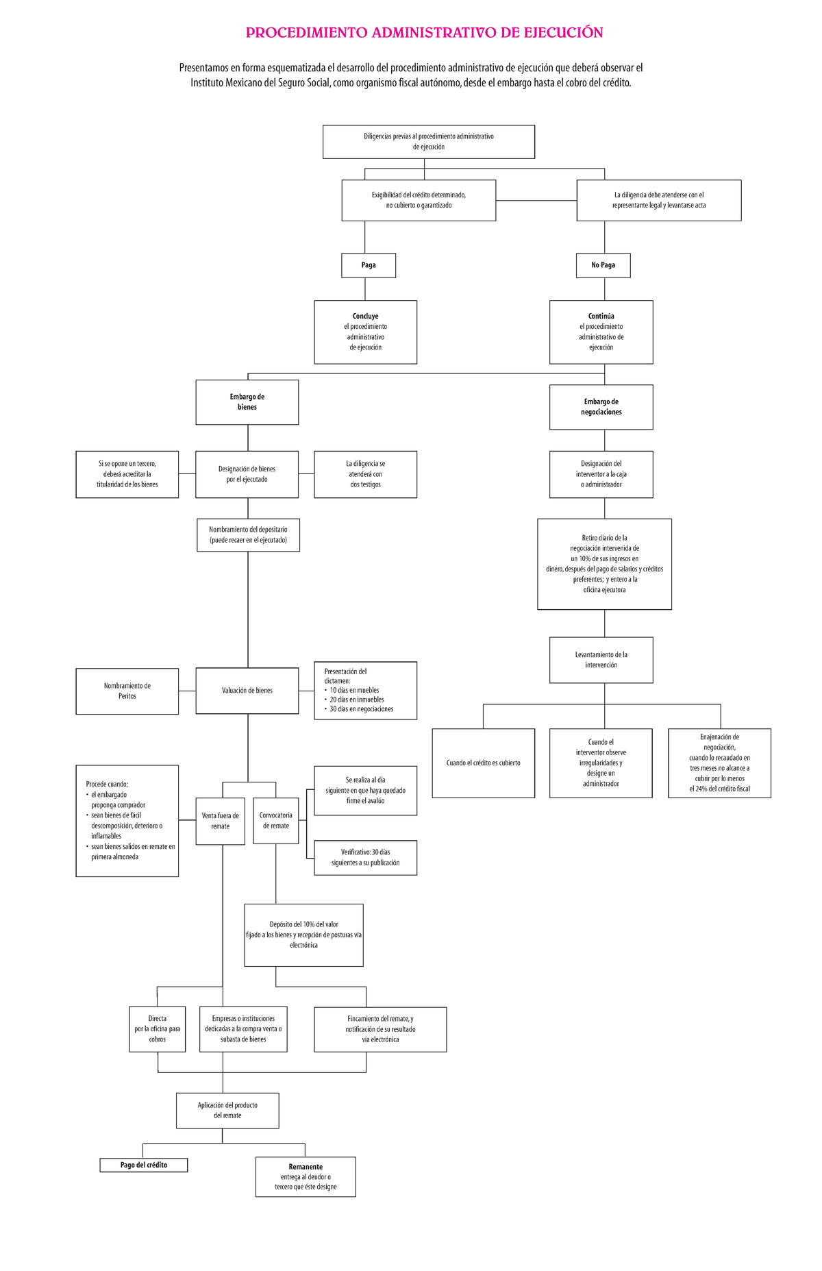 Procedimiento Administrativo de Ejecución: Diagrama PAE 44471012 - Studocu