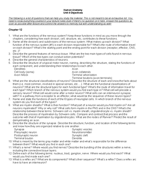 Human Anatomy Exam Study Guide: Units 1-5 Key Concepts & Objectives ...