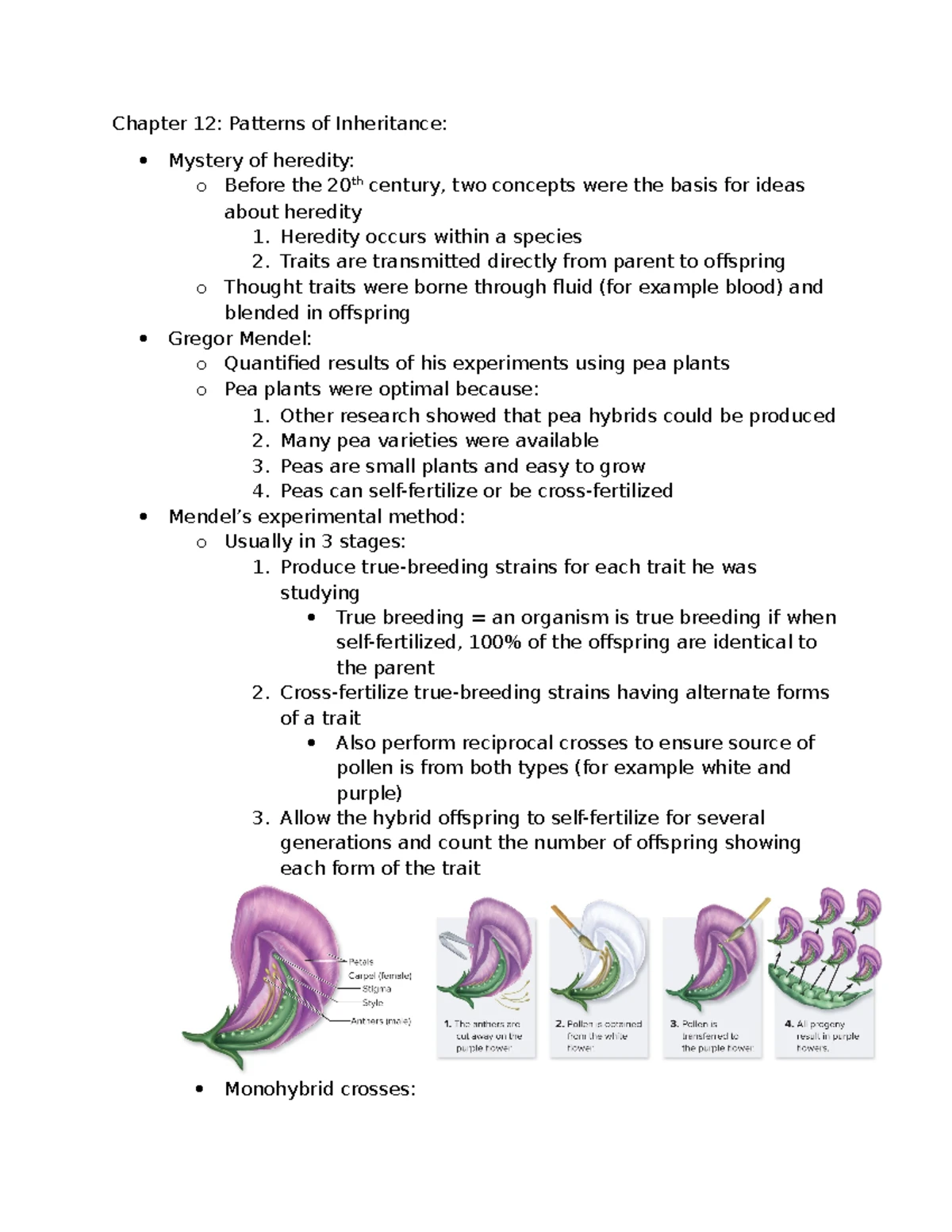 Chapter 15 Notes on Genes and Molecular Biology for Quiz - Studocu
