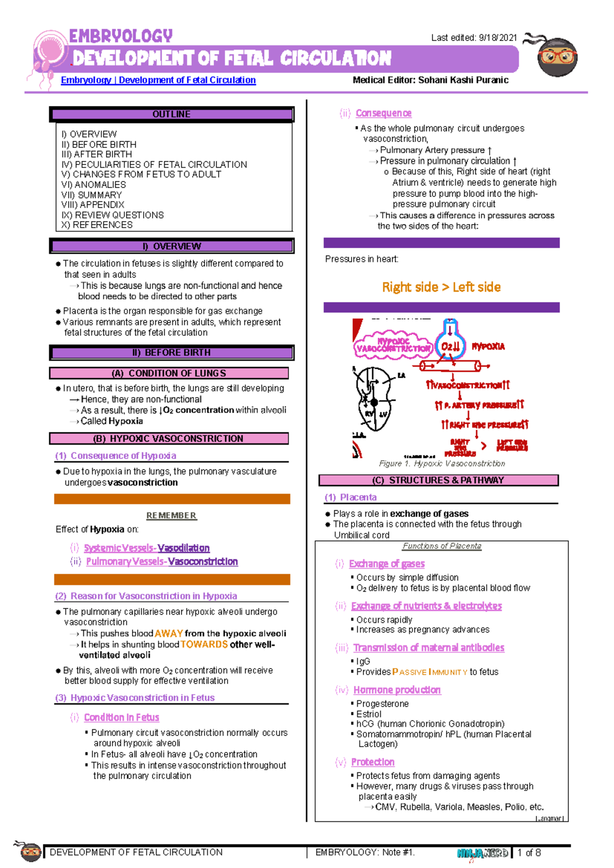275 - Embryology Physiology: Fetal Circulation Development Notes - Studocu