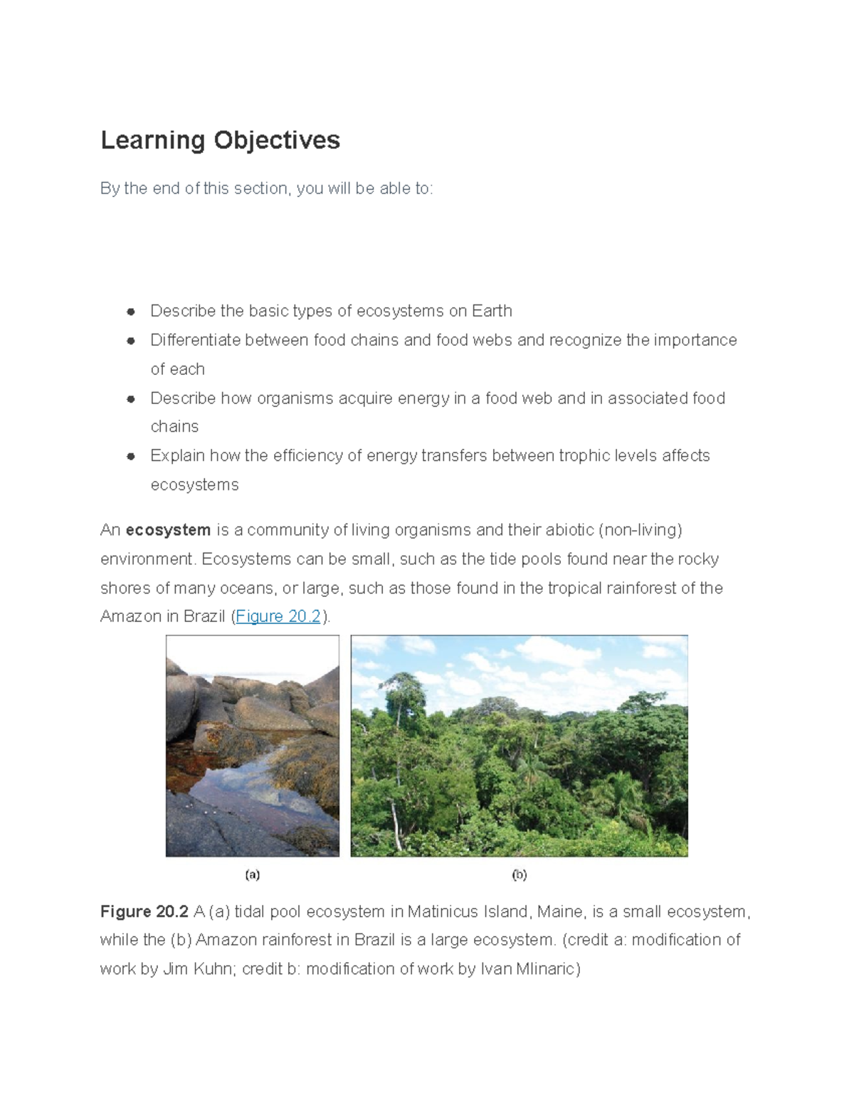 Food Chains and Food Webs: Understanding Ecosystem Dynamics - Learning ...
