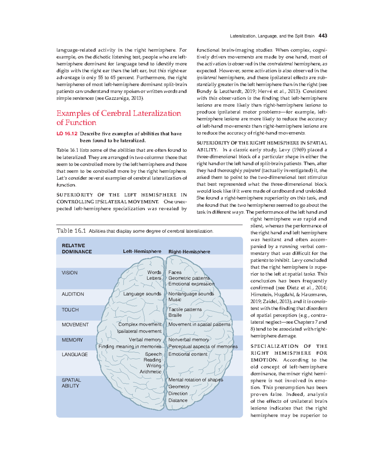 Lateralization and Language in Split Brain: Biopsychology Insights ...