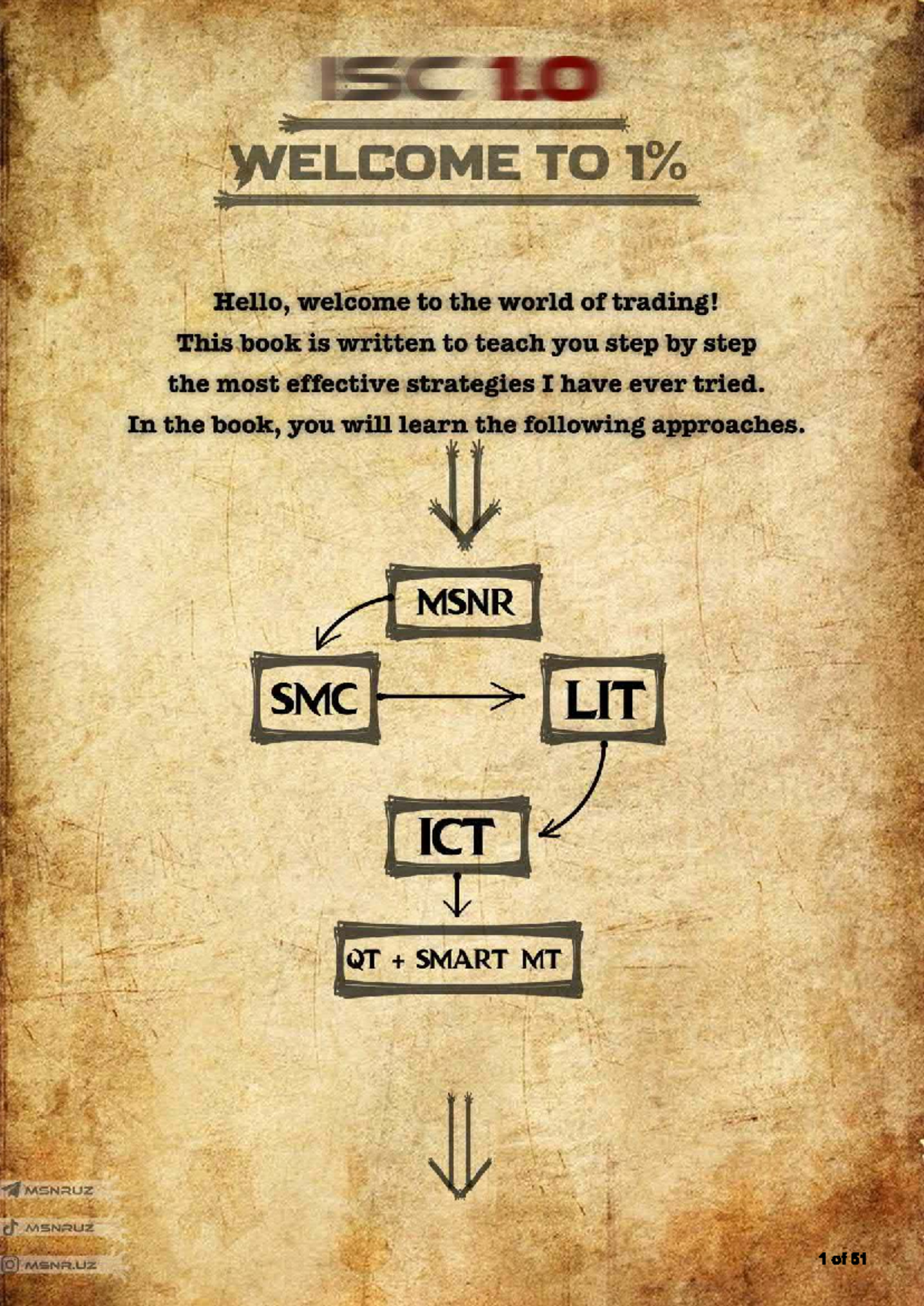 MSNR Optimized Strategies for Traders: A Comprehensive Guide - Document Preview