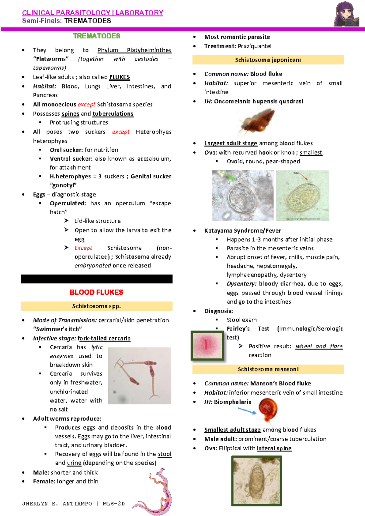Paralab - TREMATODES - Clinical Parasitology Semi-Finals Review - Studocu