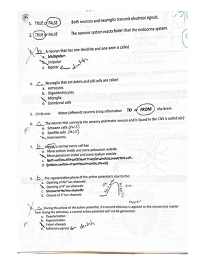 Comprehensive Anatomy and Physiology Notes (Course Code: ANPH 101) for ...