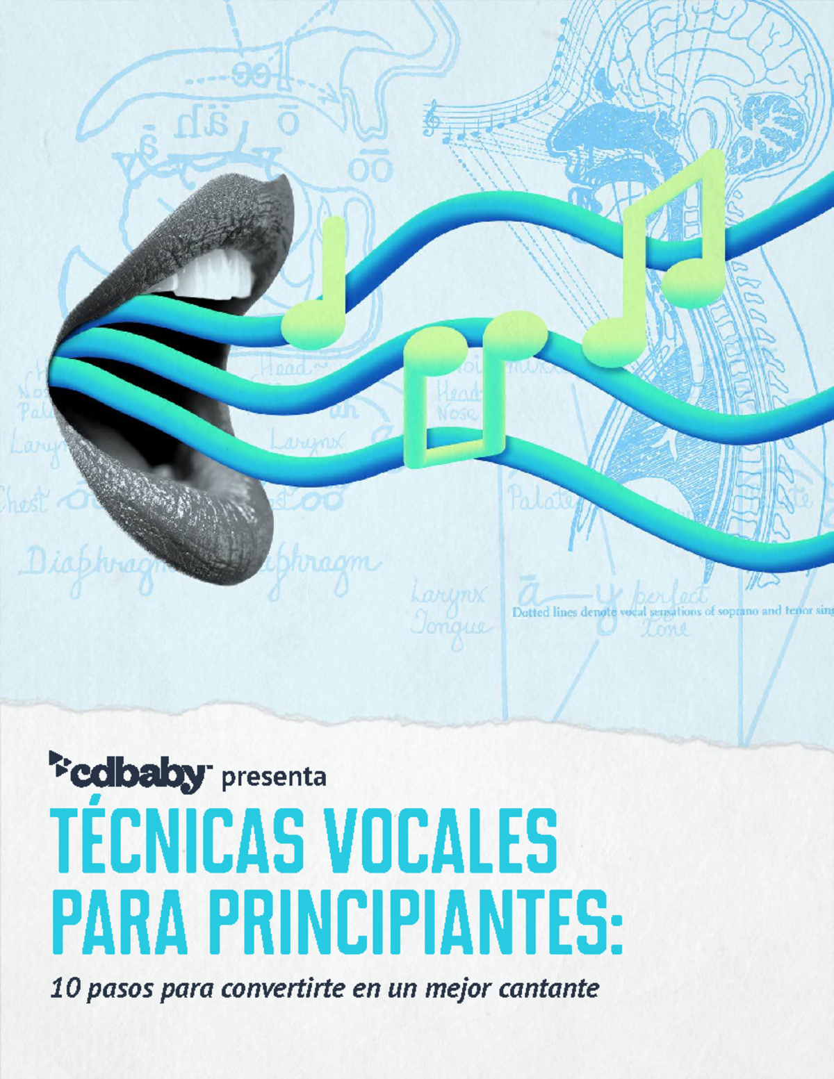 Técnicas Vocales para Principiantes: Mejora tu Canto en 10 Pasos - Studocu
