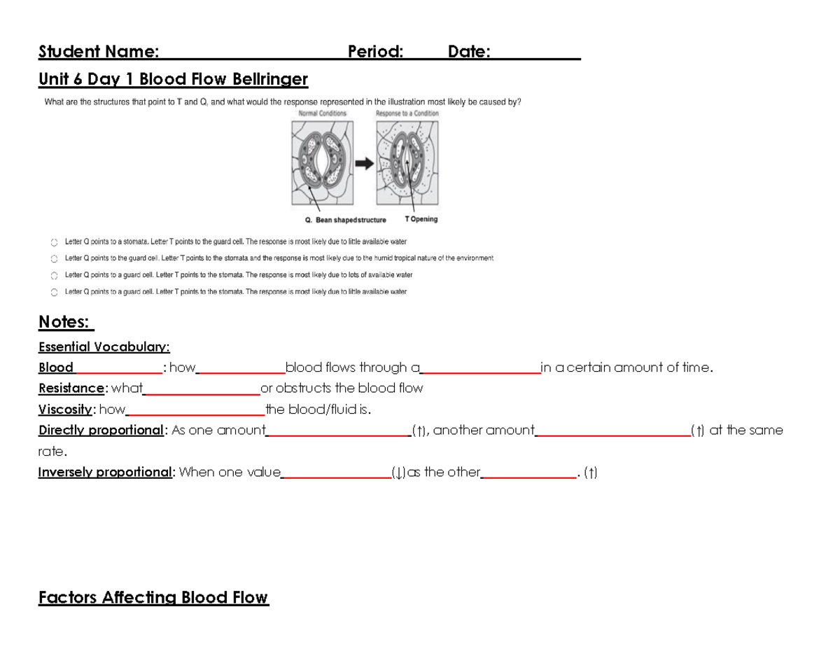 IP Factors Influencing Blood Flow - Study Notes & Vocabulary - Studocu