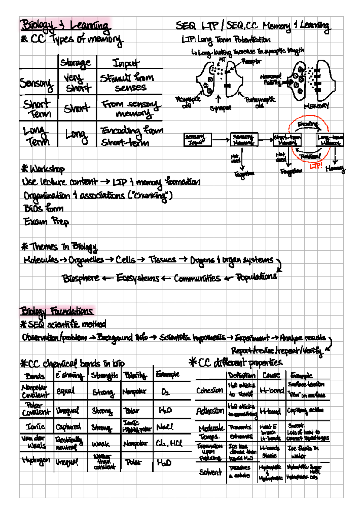 Bio 101 Midterm 1 Study Guide: Key Concepts and Themes - Studocu