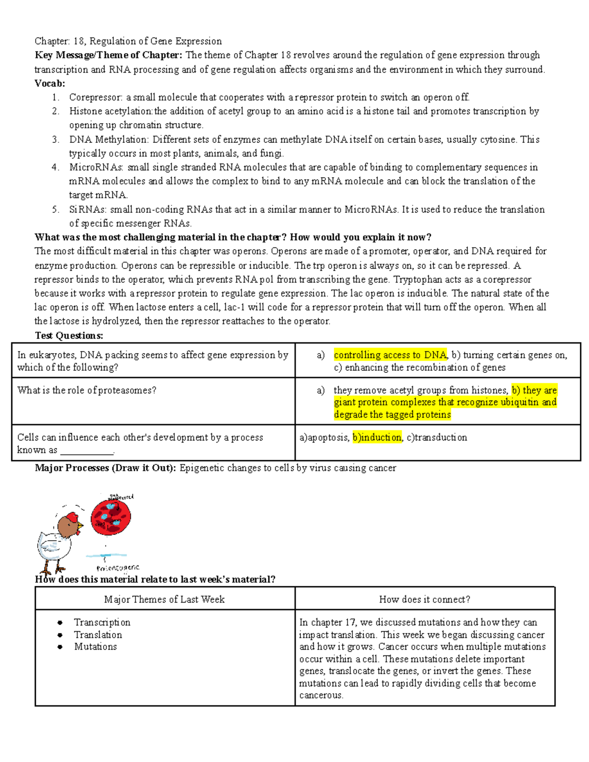 Chapter 18 Study Guide: Regulation of Gene Expression Essentials - Studocu