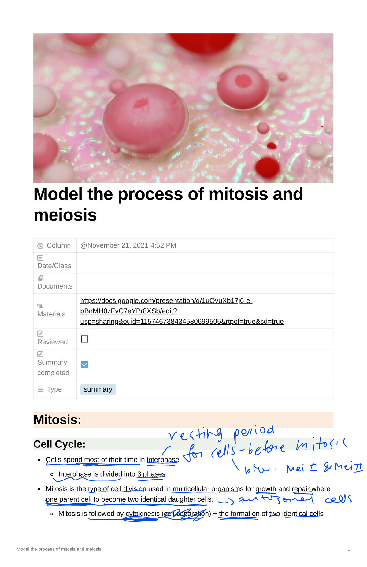 Mitosis and Meiosis: Detailed Process Overview for Bio 101 - Studocu