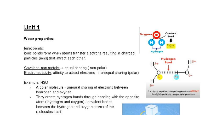 AP BIO 101: Comprehensive Yearly Revision Notes - Studocu