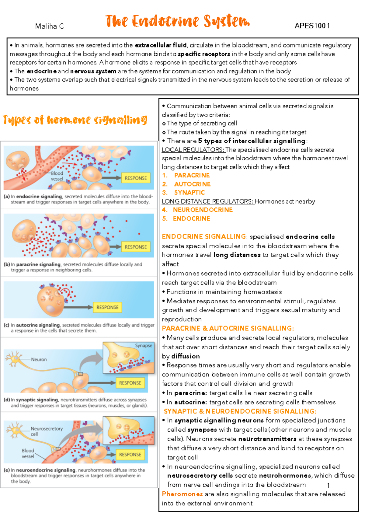 APES 101: Understanding the Endocrine System and Hormonal Signaling ...