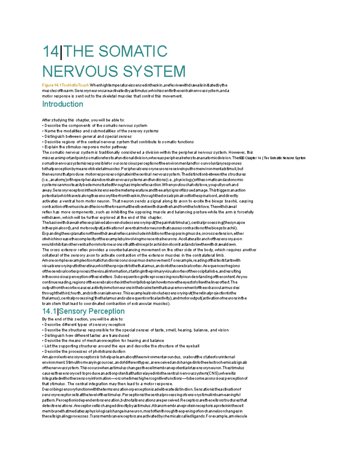 Anatomy and Physiology: Chapter 14 - The Somatic Nervous System - Studocu