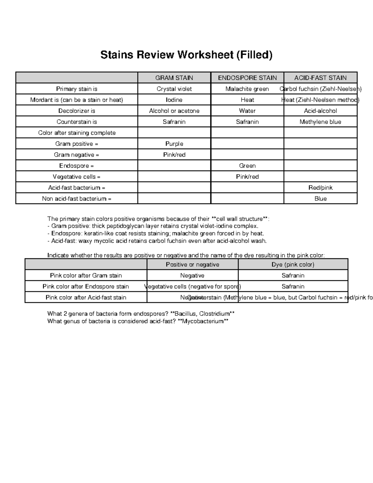 Microbiology Stains Review Worksheet: Gram, Endospore, Acid-Fast ...