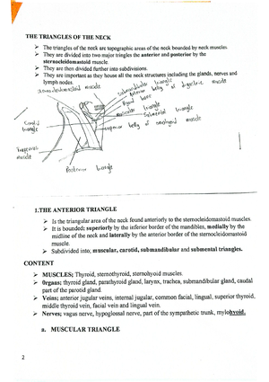 Structural AND Functional Anatomy OF THE Shoulder Joint - STRUCTURAL ...