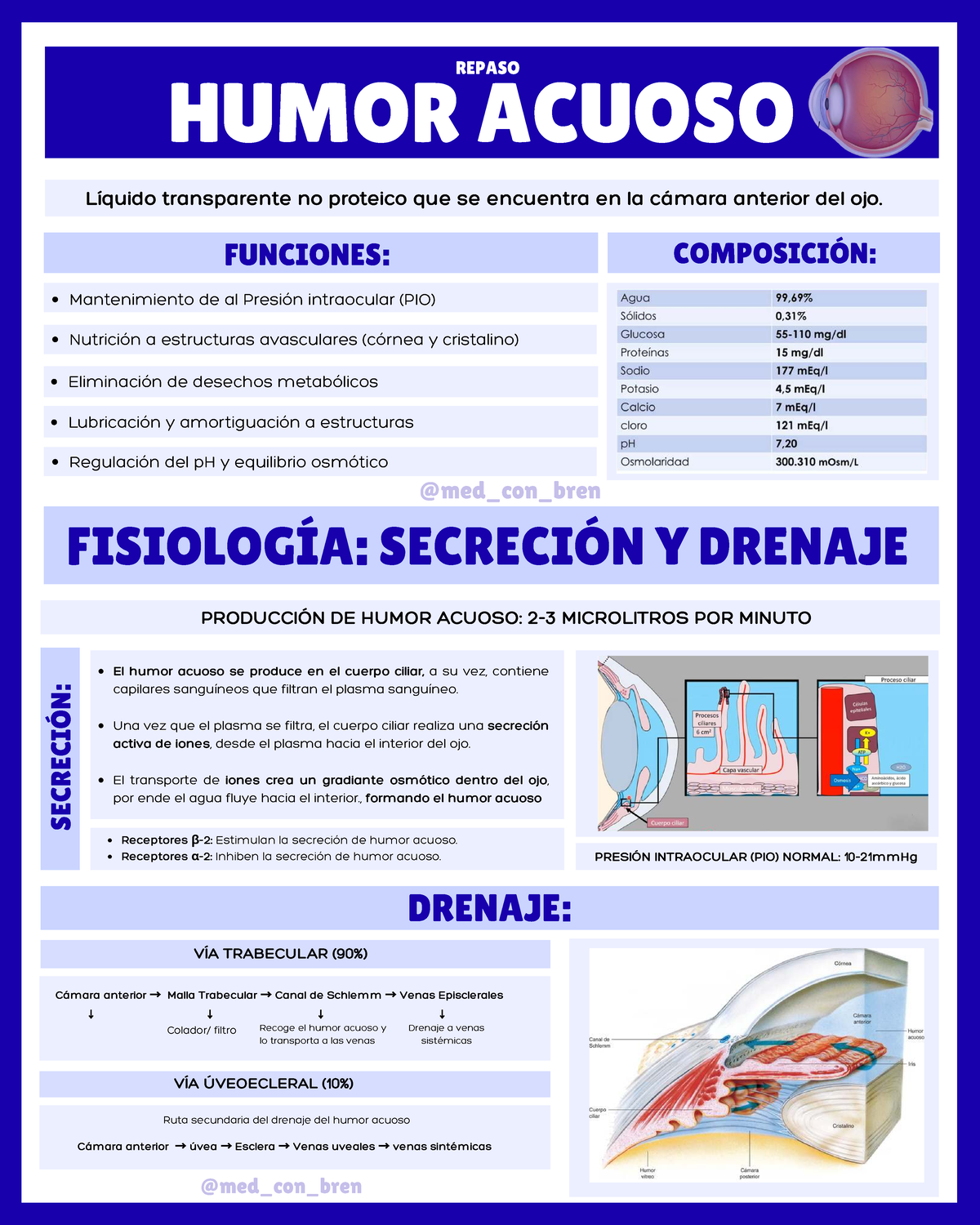 Humor Acuoso: Composición y Fisiología del Ojo - Studocu