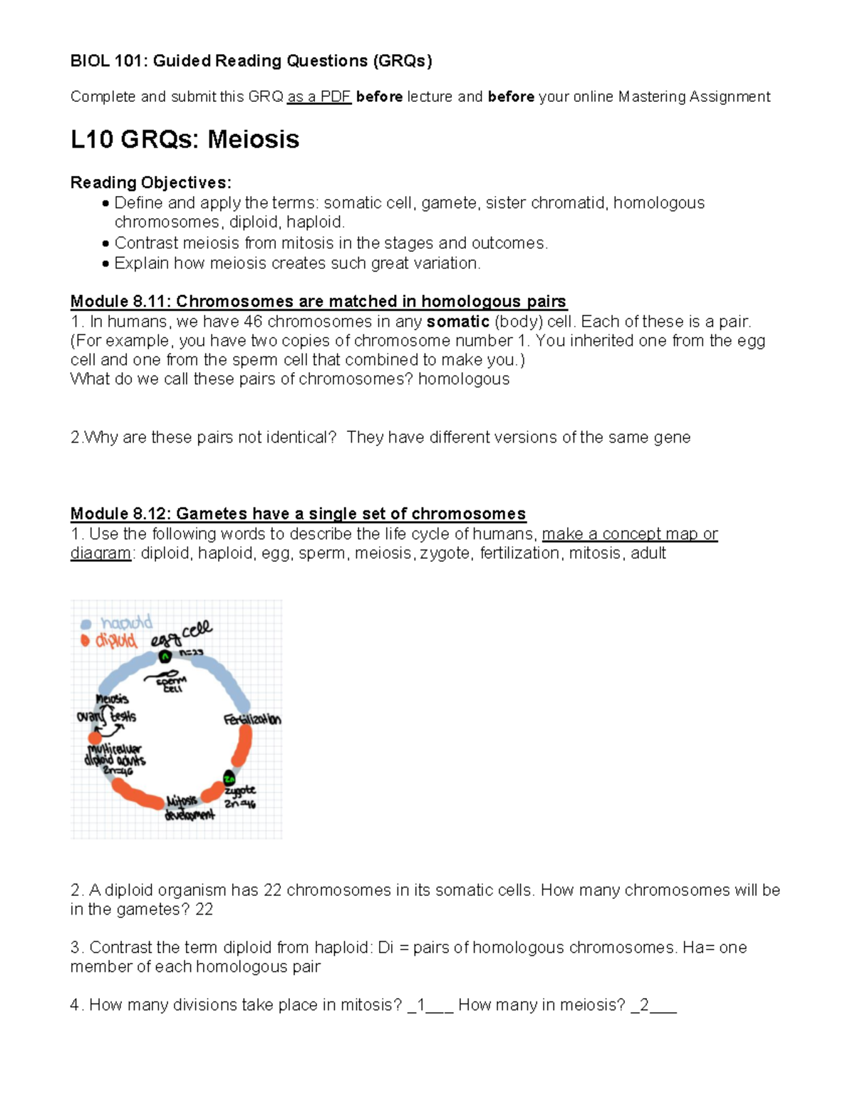 BIOL 101: Lesson 10 GRQs on Meiosis and Genetic Variation - Studocu