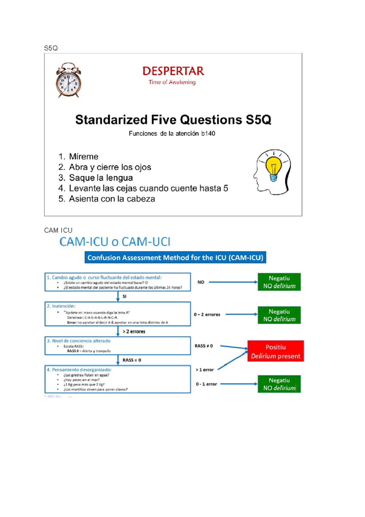 Evaluaciones S5Q y CAM para UCI: Métodos de Evaluación Clínica - Studocu