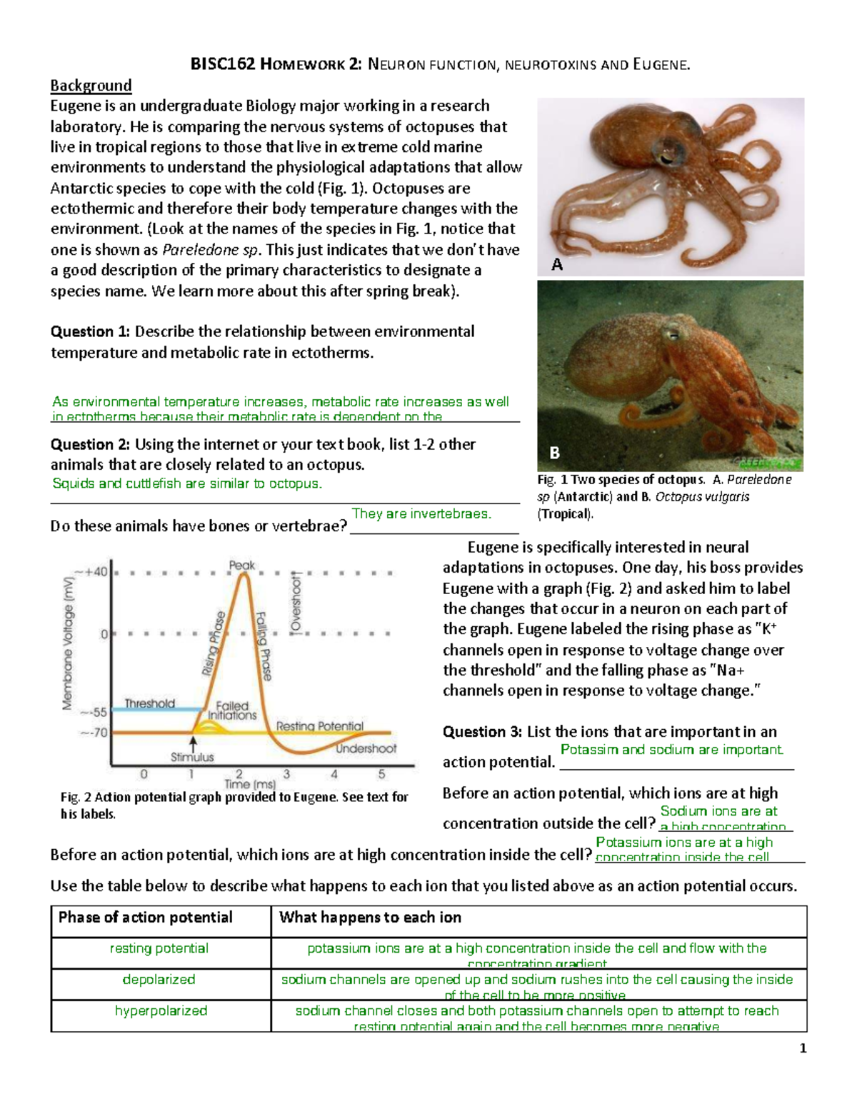 BISC162 HOMEWORK 2: NEURON FUNCTION & NEUROTOXINS IN OCTOPUSES - Studocu