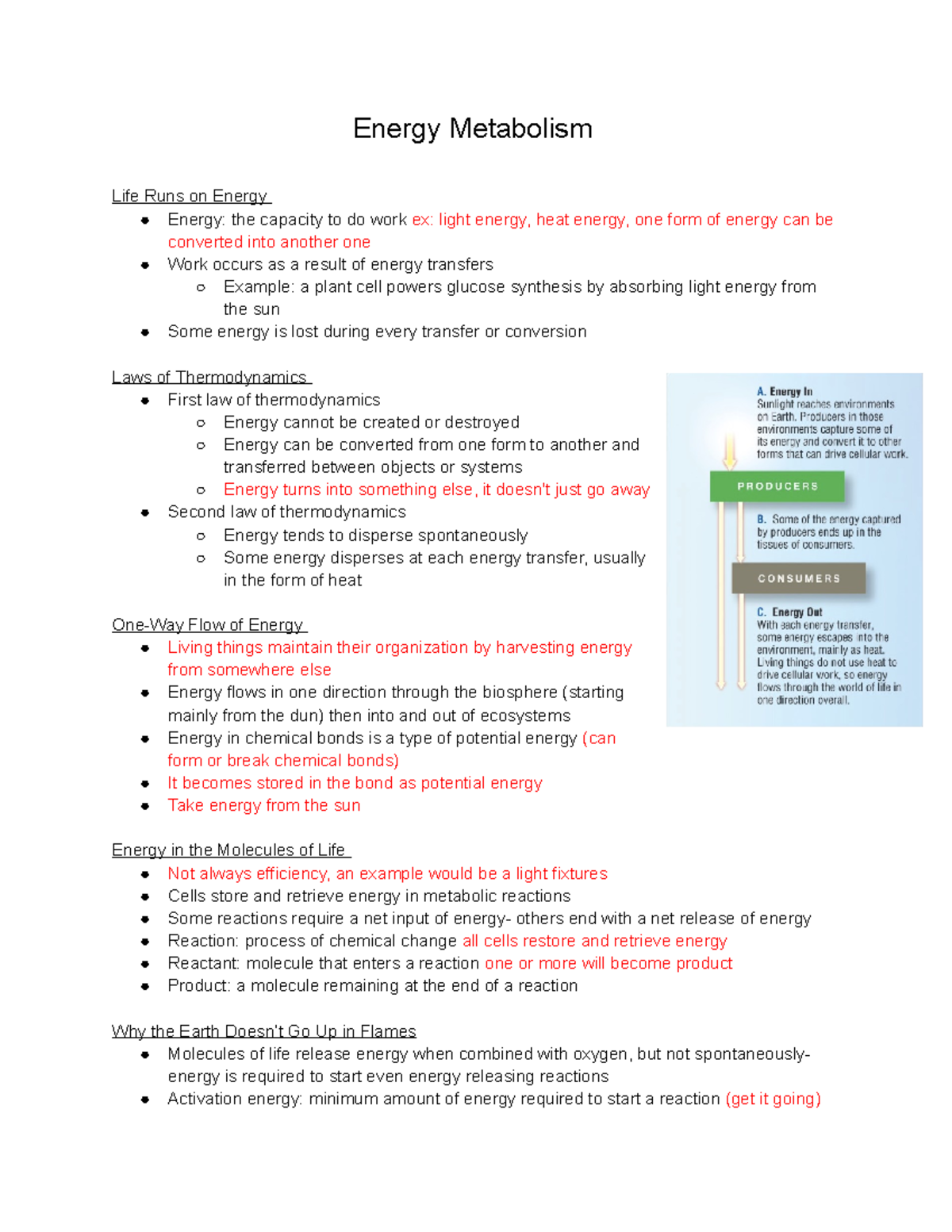 Chapter 4 - Energy Metabolism Life Runs on Energy Energy: the capacity ...