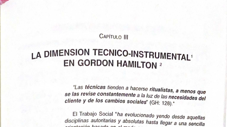 CAPÍTULO: DIMENSIÓN TÉCNICO-INSTRUMENTAL EN GORDON HAMILTON - Studocu