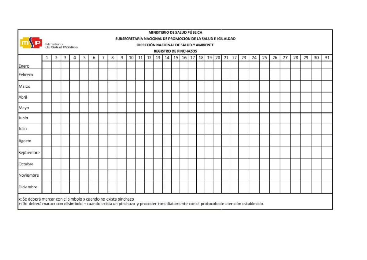 Registro de Pinchazos - MSP - Document Preview