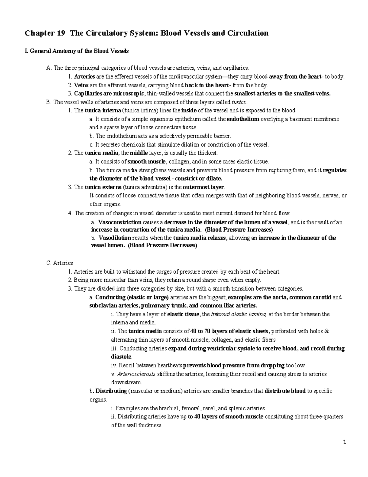 Chapter 19 Notes: The Circulatory System - Blood Vessels & Circulation ...