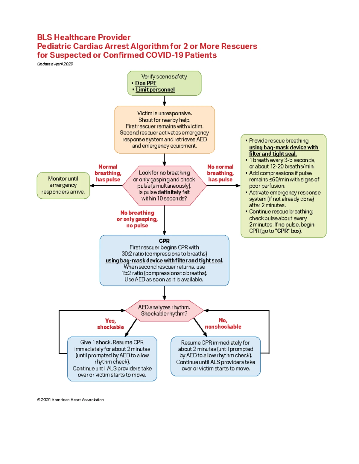 Bronchiolitis Overview: Pathophysiology, Symptoms, and Management (MED ...