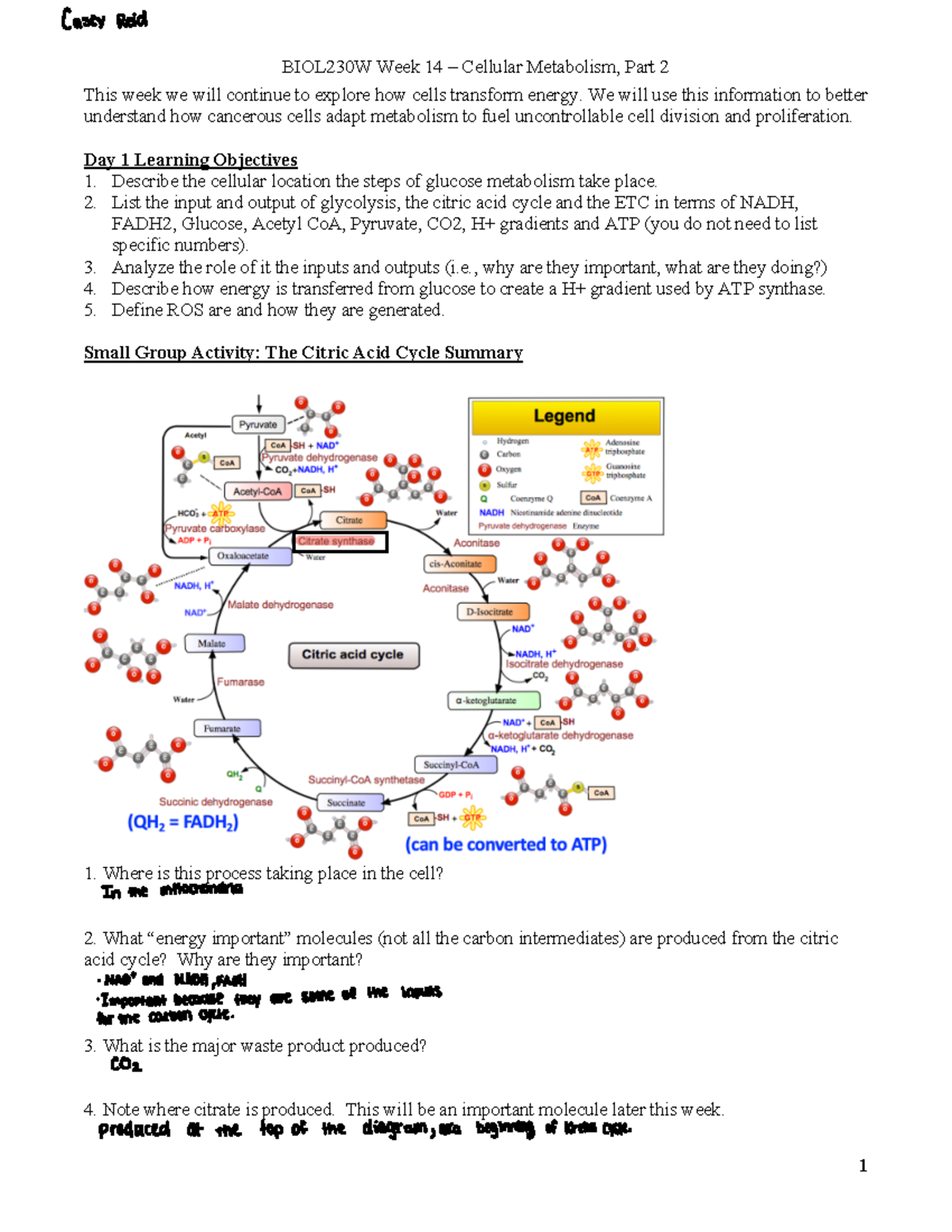Week+14+Student - Detailed week 14 bio packet. - BIOL230W Week 14 ...
