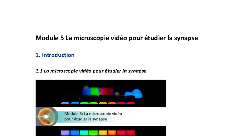 Module 5: La Microscopie Vidéo et l'Étude de la Synapse - Studocu