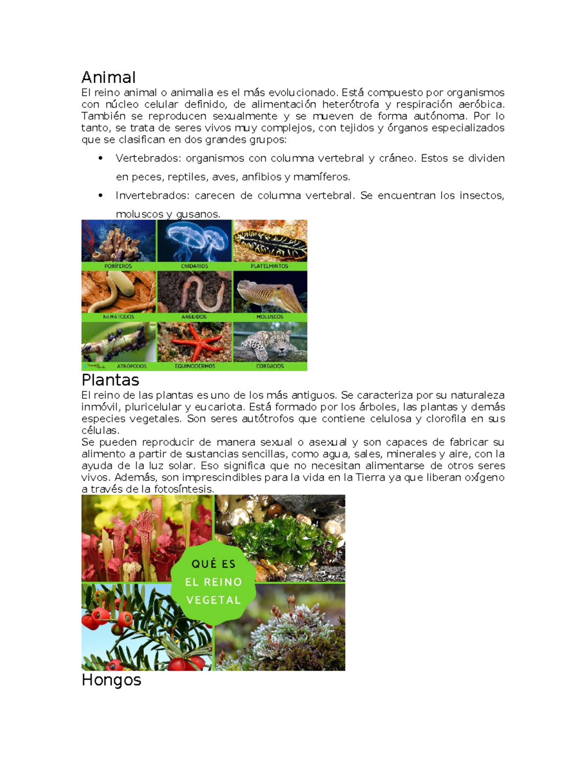 Los Reinos de la Naturaleza: Animalia, Plantas, Hongos, Mónera y Protista -  Studocu