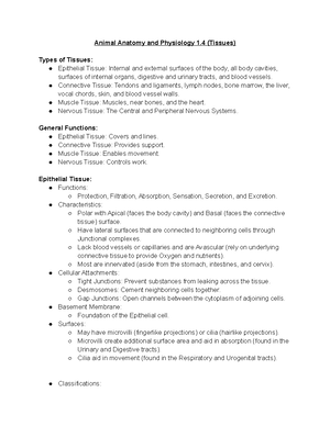 Intro to Anatomy & Physiology 1: Key Concepts and Terminology - INTRO ...