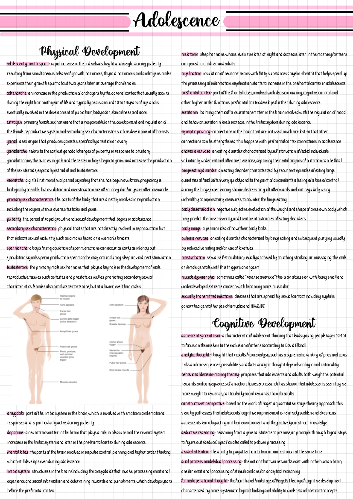 Adolescence: Understanding Physical, Cognitive, and Emotional ...